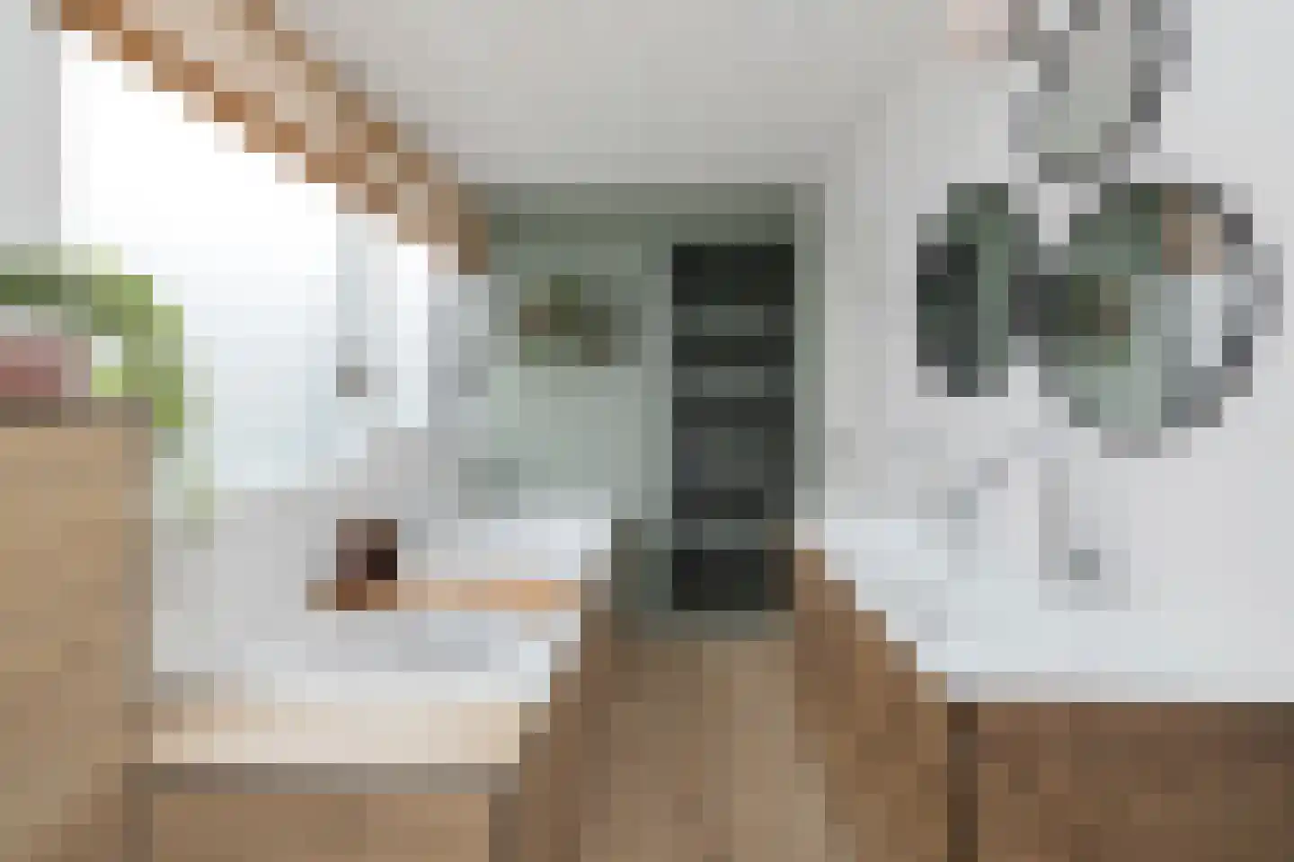 Raadhuisstraat 85 Dirkshorn thumbnail 24