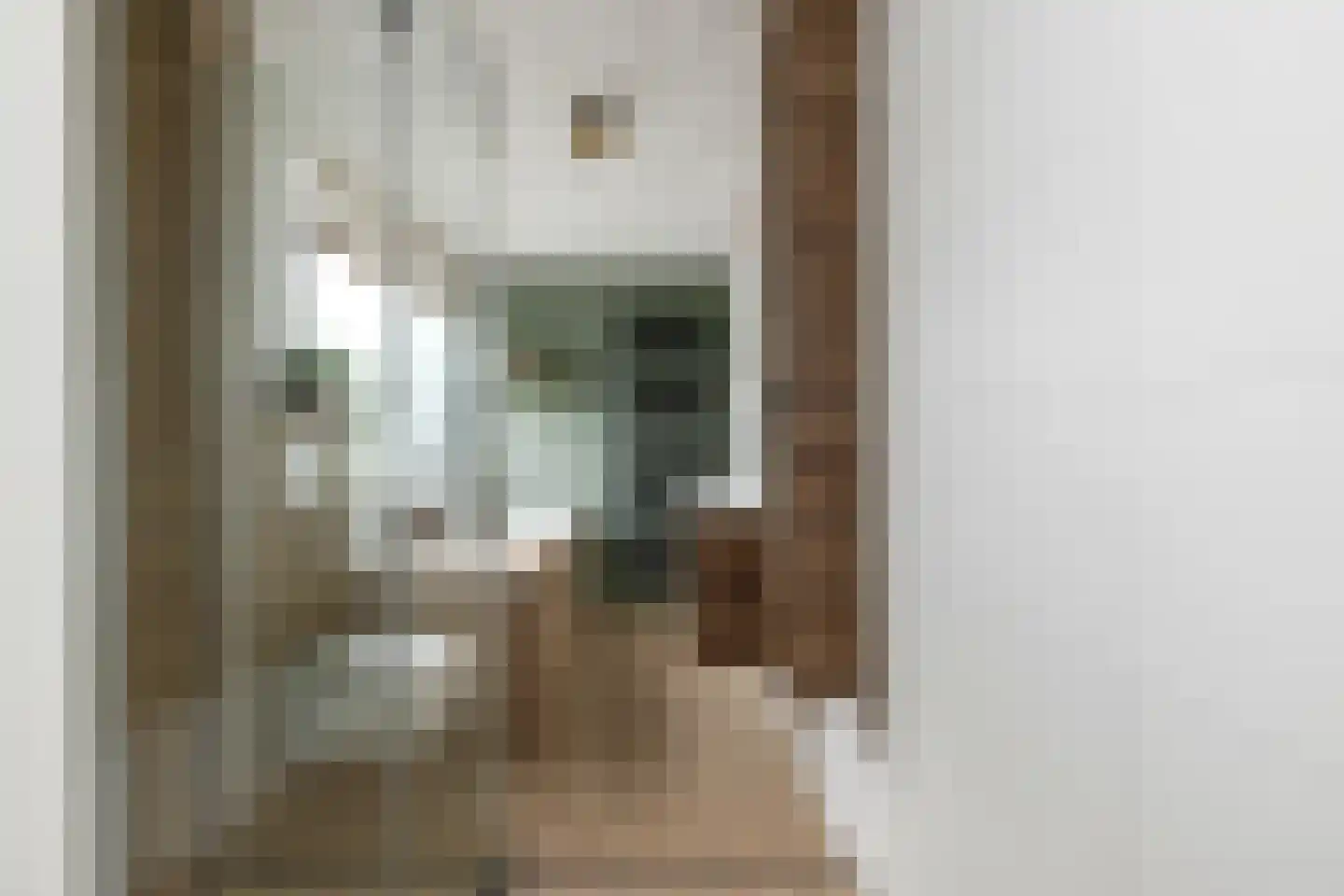 Raadhuisstraat 85 Dirkshorn thumbnail 25