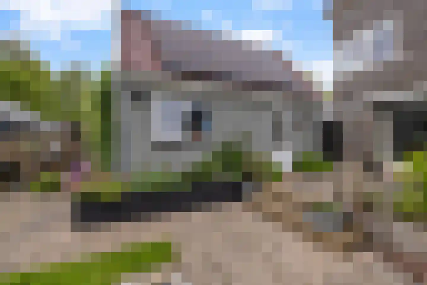Raadhuisstraat 85 Dirkshorn thumbnail 34