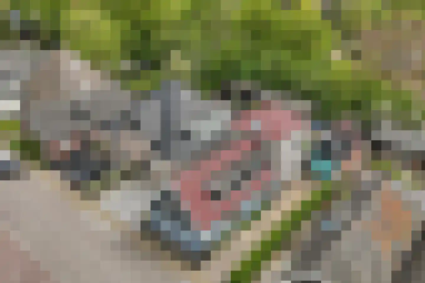 Raadhuisstraat 85 Dirkshorn thumbnail 38