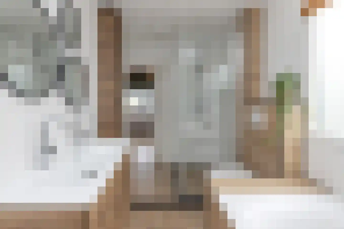 Raadhuisstraat 85 Dirkshorn thumbnail 4