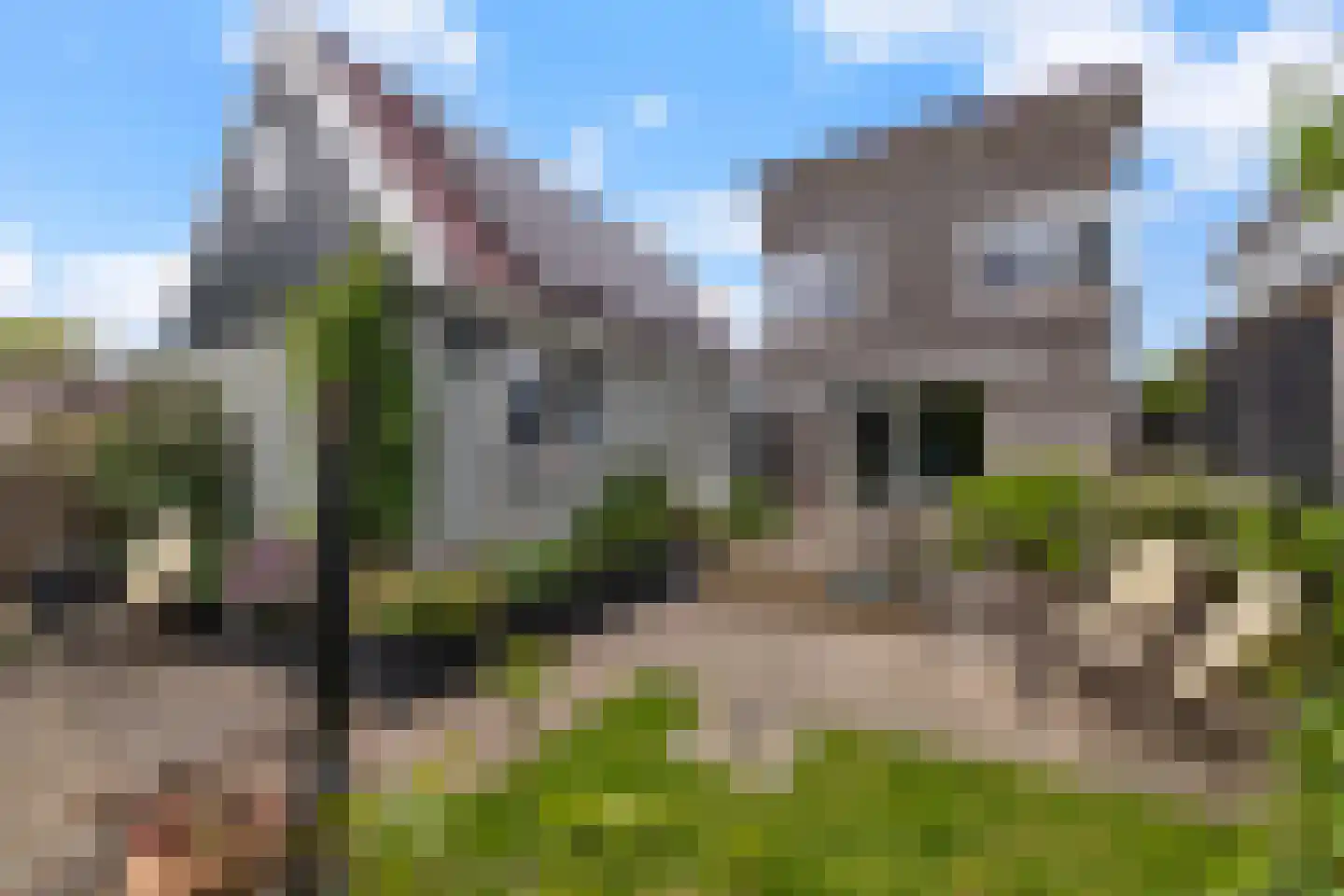 Raadhuisstraat 85 Dirkshorn thumbnail 5
