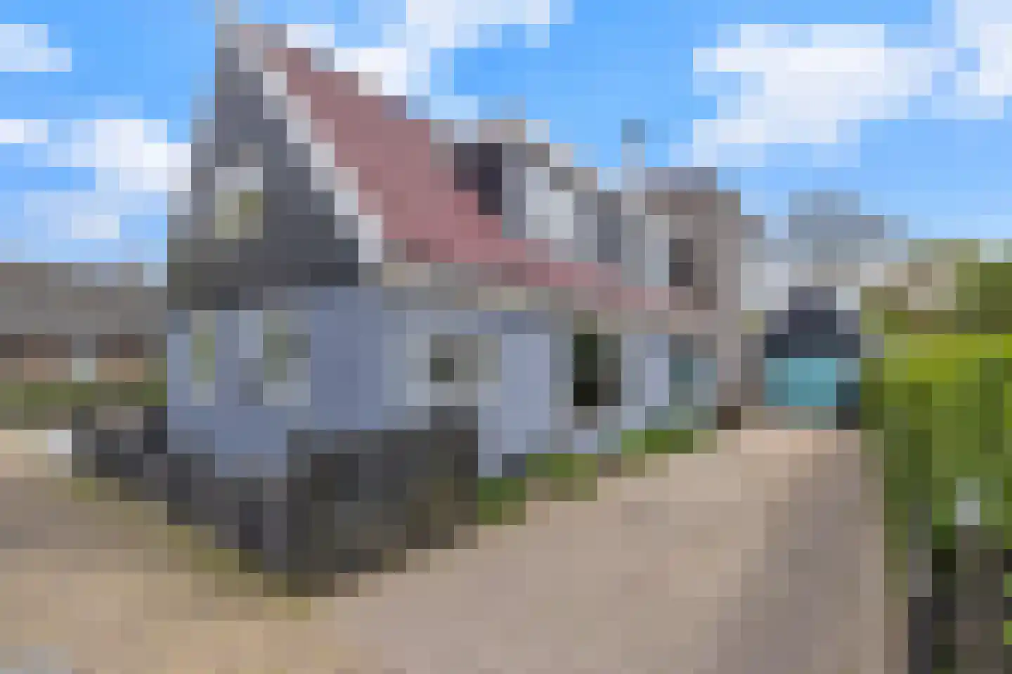 Raadhuisstraat 85 Dirkshorn thumbnail 6