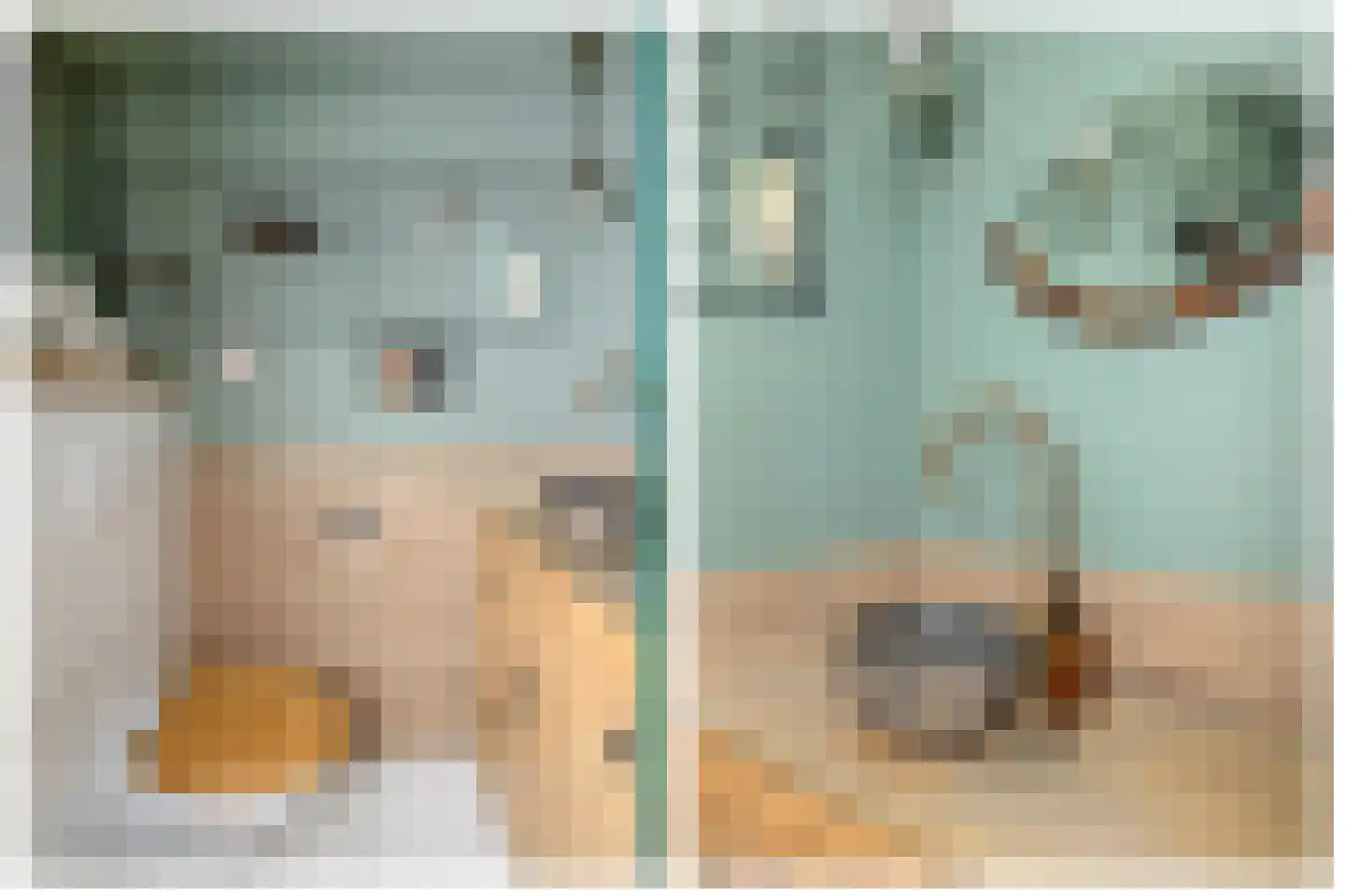Raadhuisstraat 85 Dirkshorn thumbnail 9
