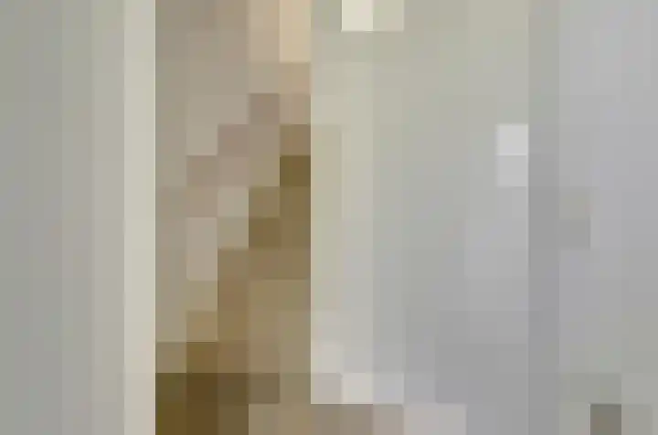 Raadhuisstraat 85 Druten thumbnail 15