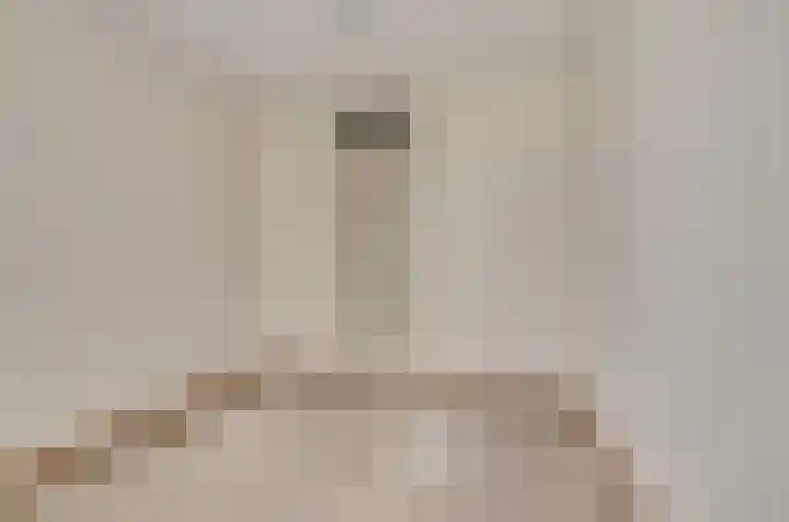 Raadhuisstraat 85 Druten thumbnail 18