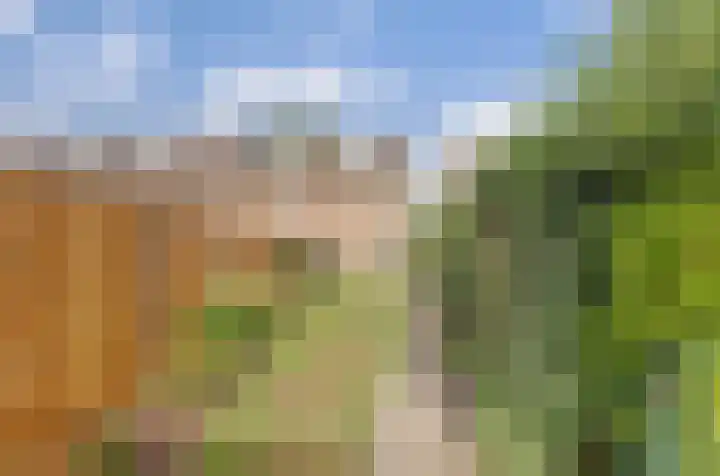 Raadhuisstraat 85 Druten thumbnail 31