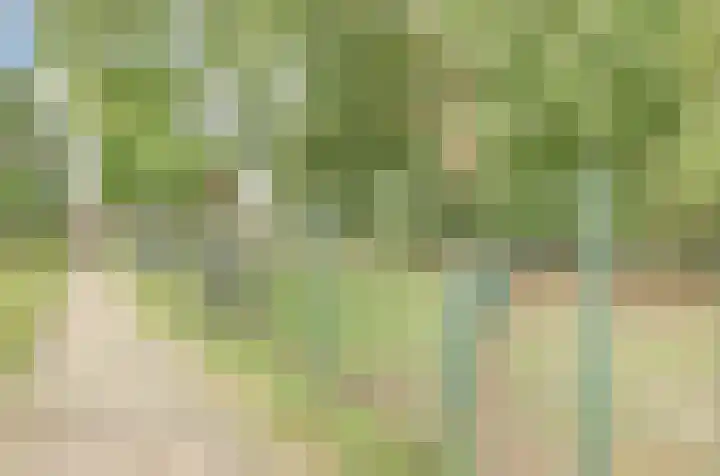 Raadhuisstraat 85 Druten thumbnail 39