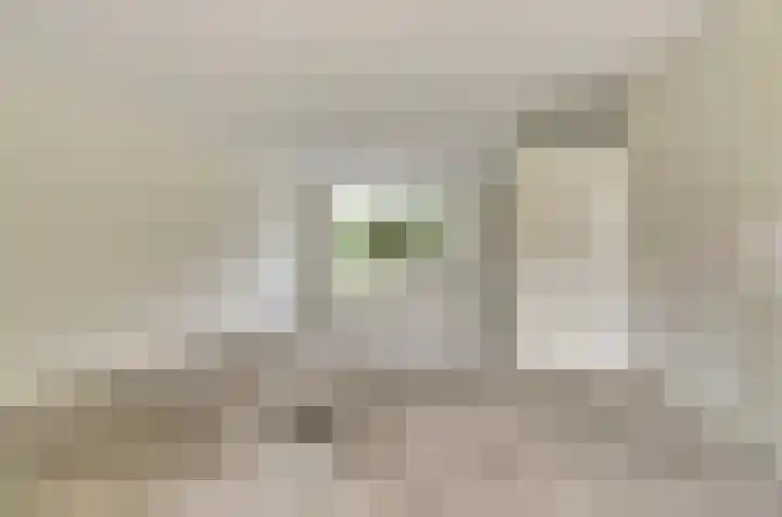 Raadhuisstraat 85 Druten thumbnail 5
