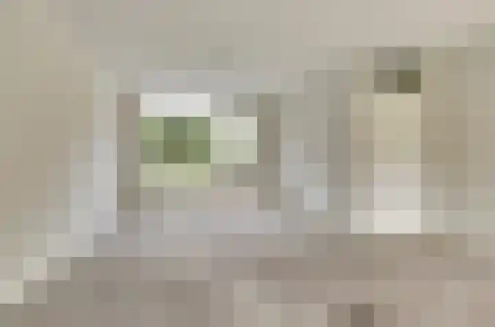 Raadhuisstraat 85 Druten thumbnail 6