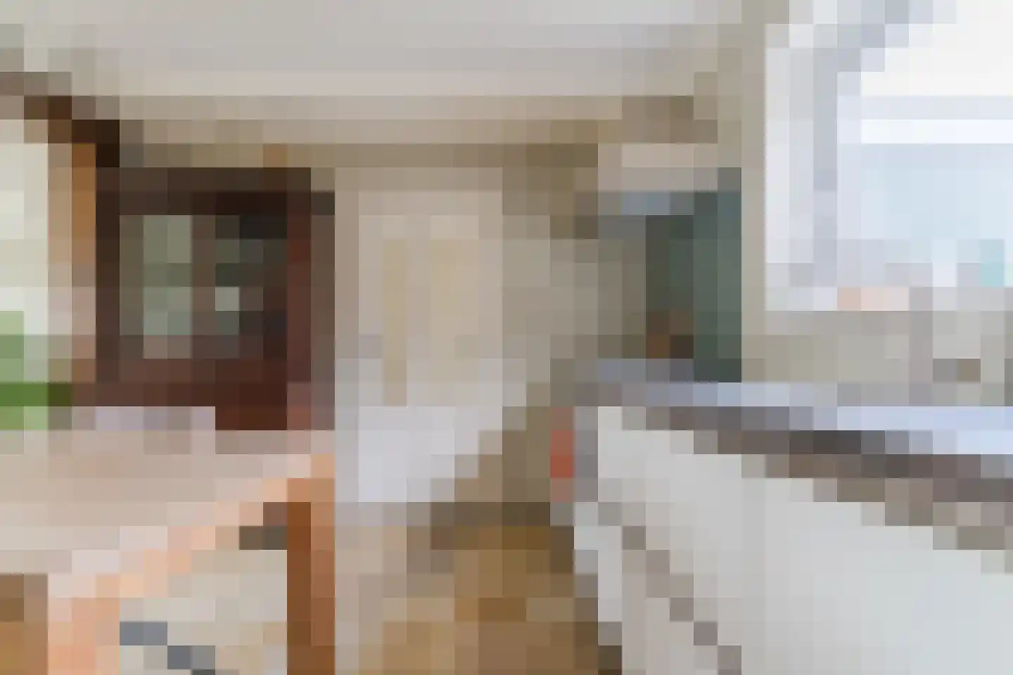 Raadhuisstraat 86 Dirkshorn thumbnail 15
