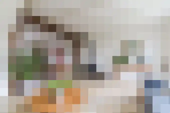 Raadhuisstraat 86 Dirkshorn thumbnail 19