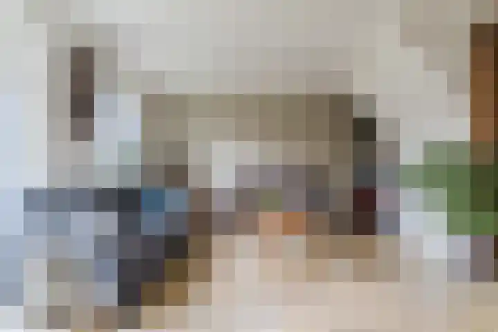 Raadhuisstraat 86 Dirkshorn thumbnail 21