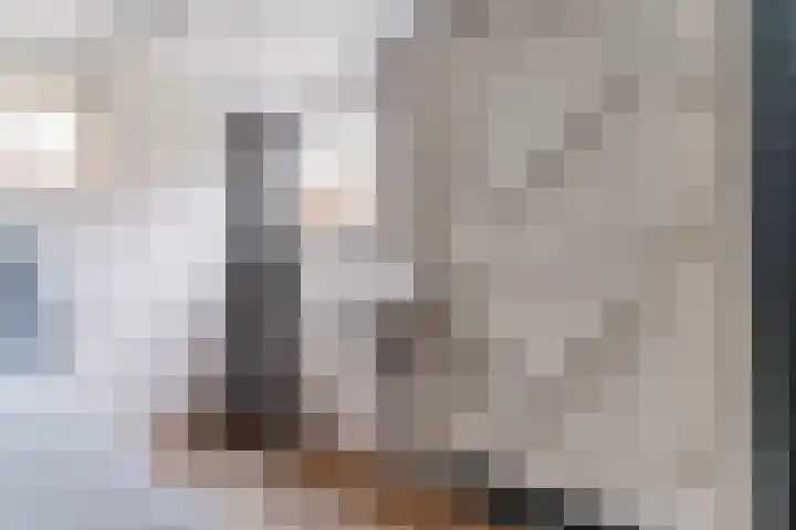 Raadhuisstraat 86 Dirkshorn thumbnail 27