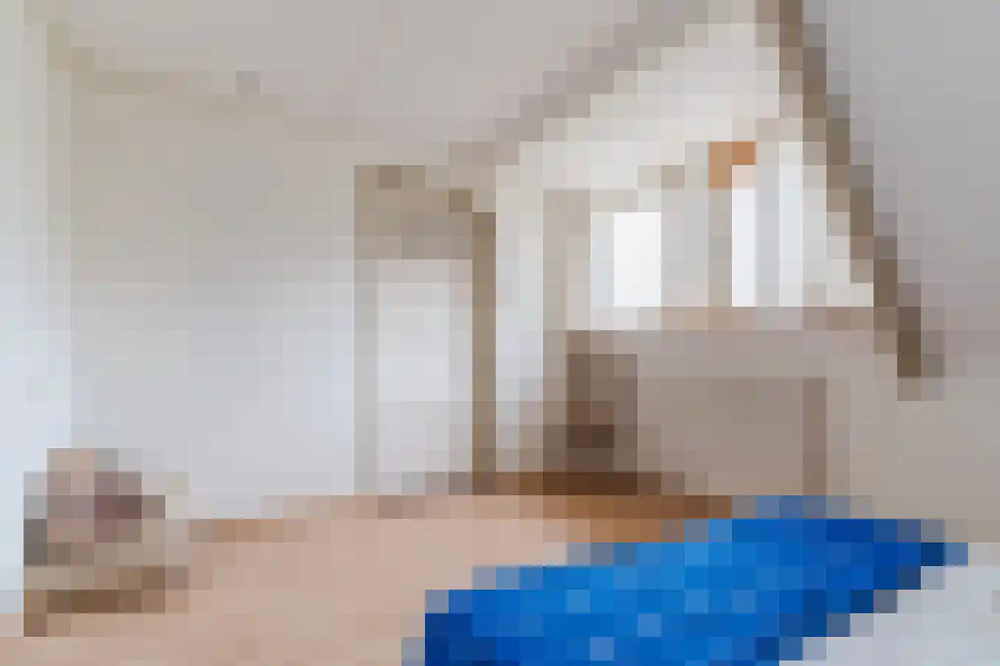 Raadhuisstraat 86 Dirkshorn thumbnail 35