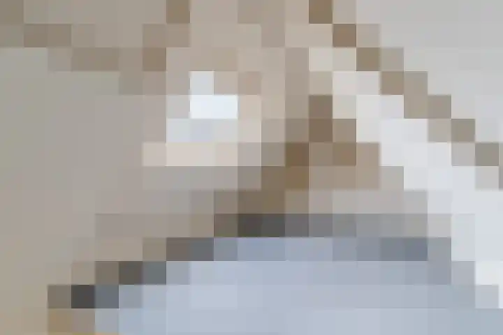 Raadhuisstraat 86 Dirkshorn thumbnail 40