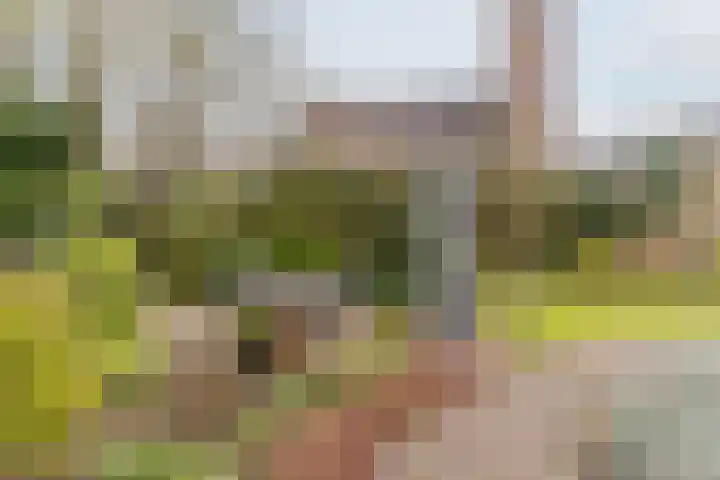 Raadhuisstraat 86 Dirkshorn thumbnail 45