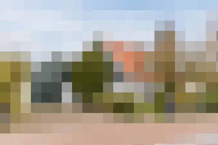 Raadhuisstraat 86 Dirkshorn thumbnail 5