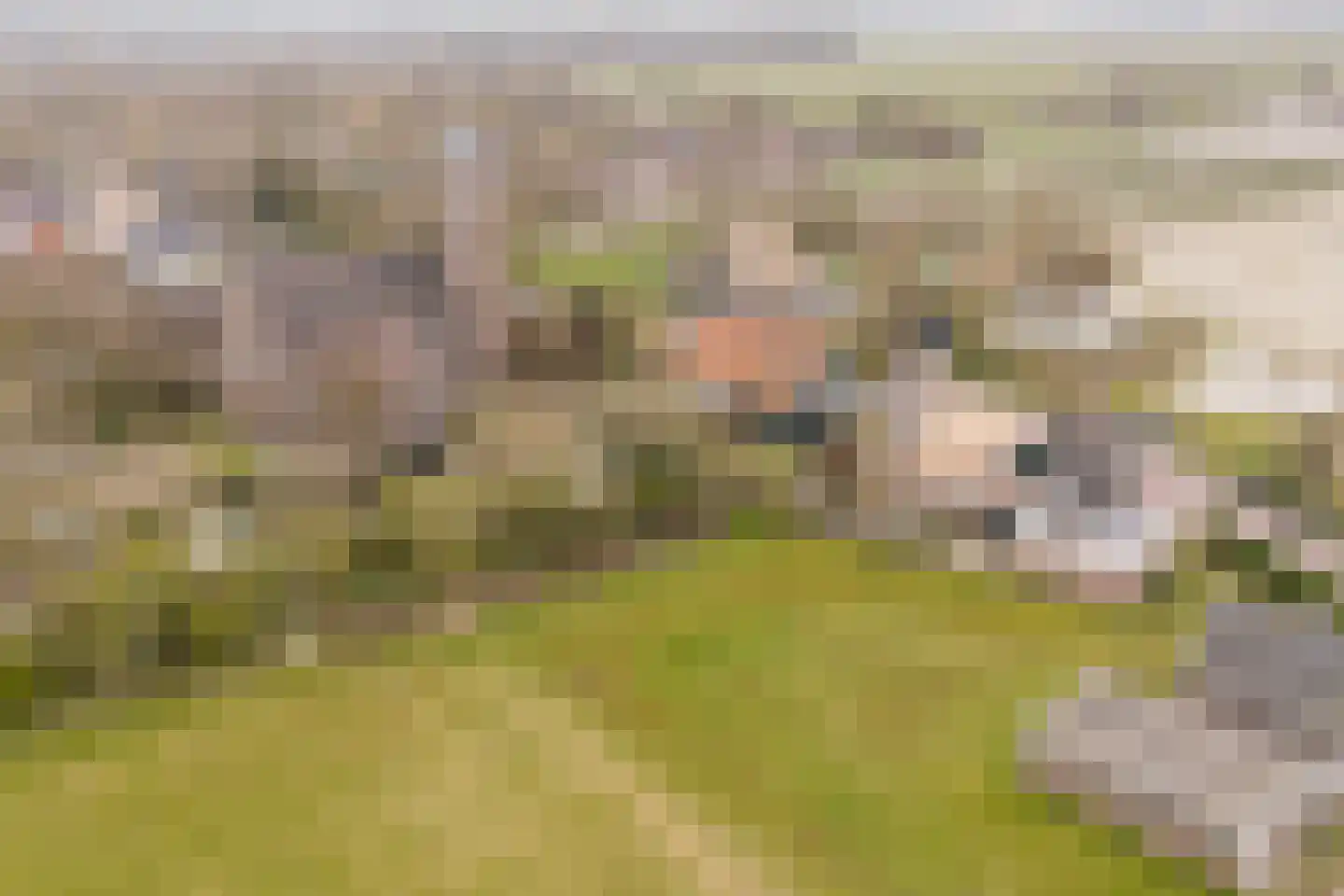 Raadhuisstraat 86 Dirkshorn thumbnail 51
