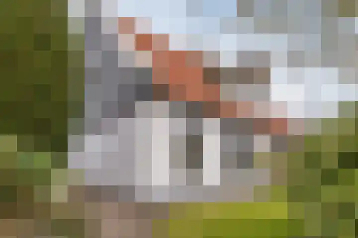Raadhuisstraat 86 Dirkshorn thumbnail 8