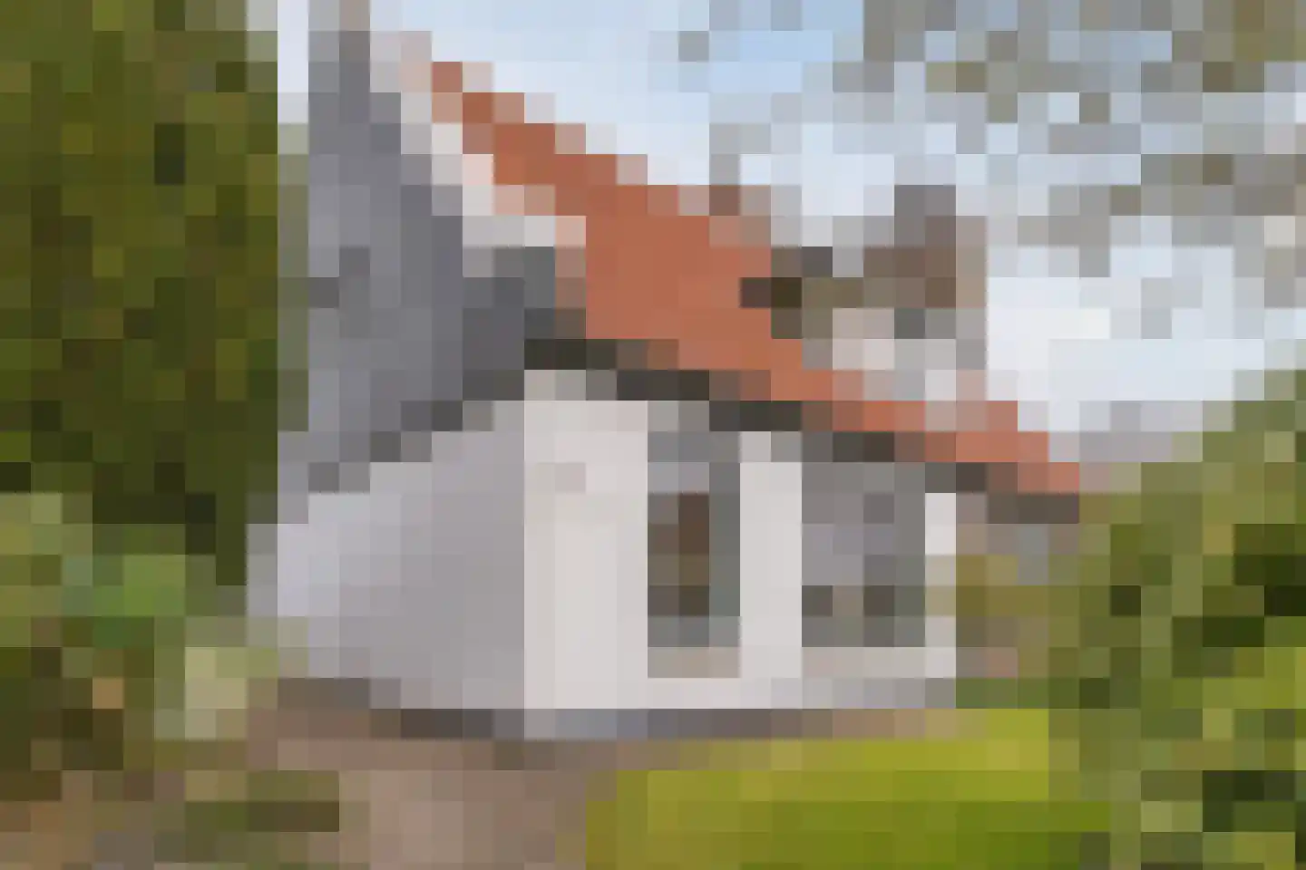 Raadhuisstraat 86 Dirkshorn thumbnail 8