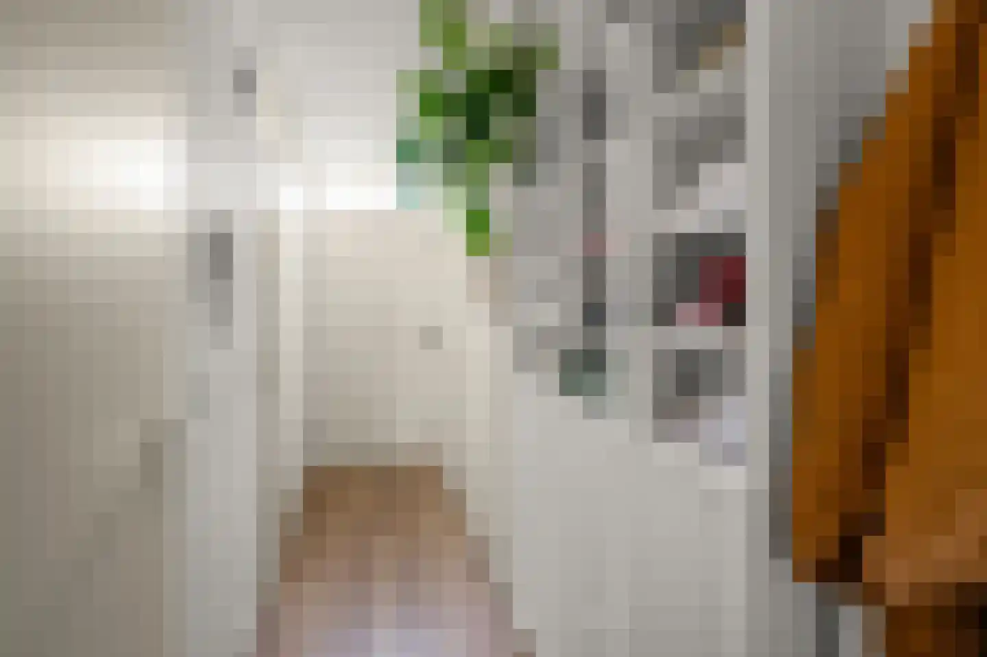 Raadhuisstraat 89 Beverwijk thumbnail 6