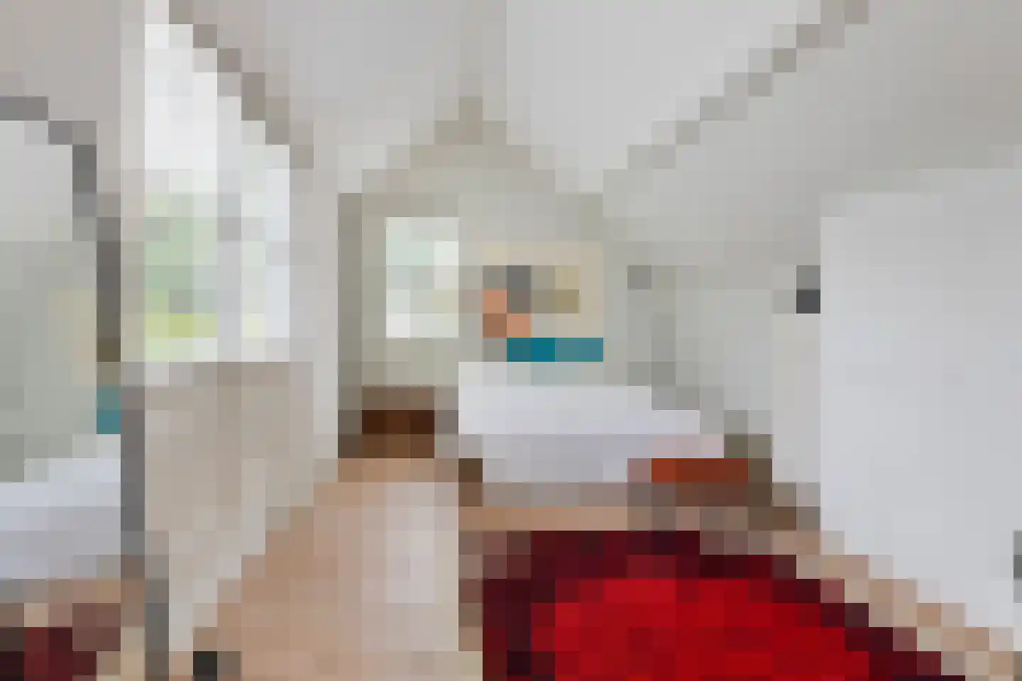 Raadhuisstraat 89 Waalre thumbnail 16