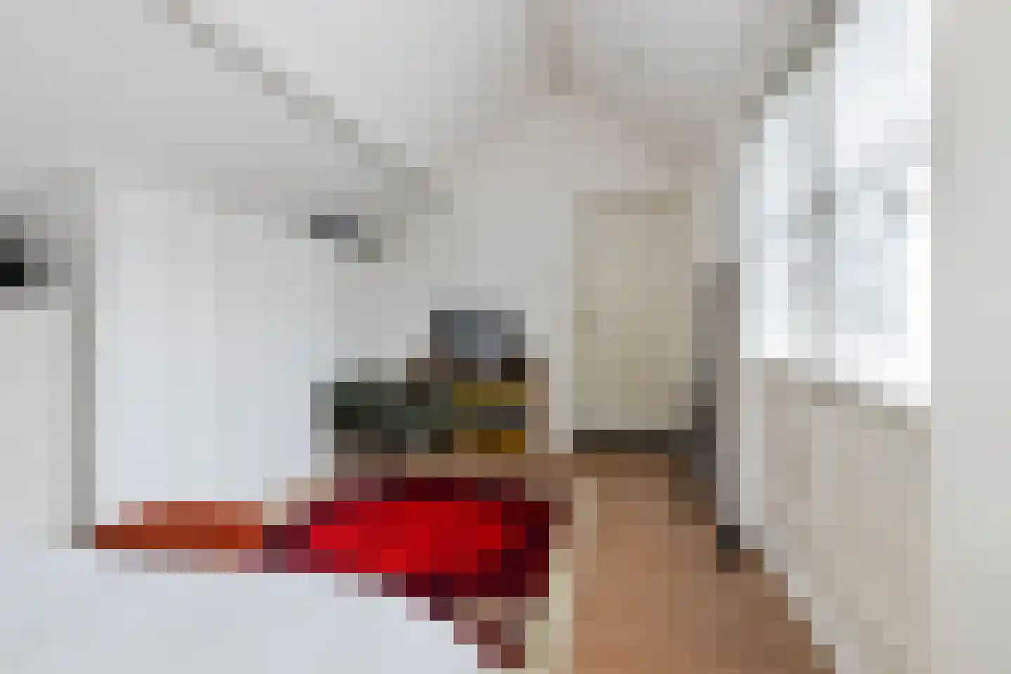 Raadhuisstraat 89 Waalre thumbnail 17