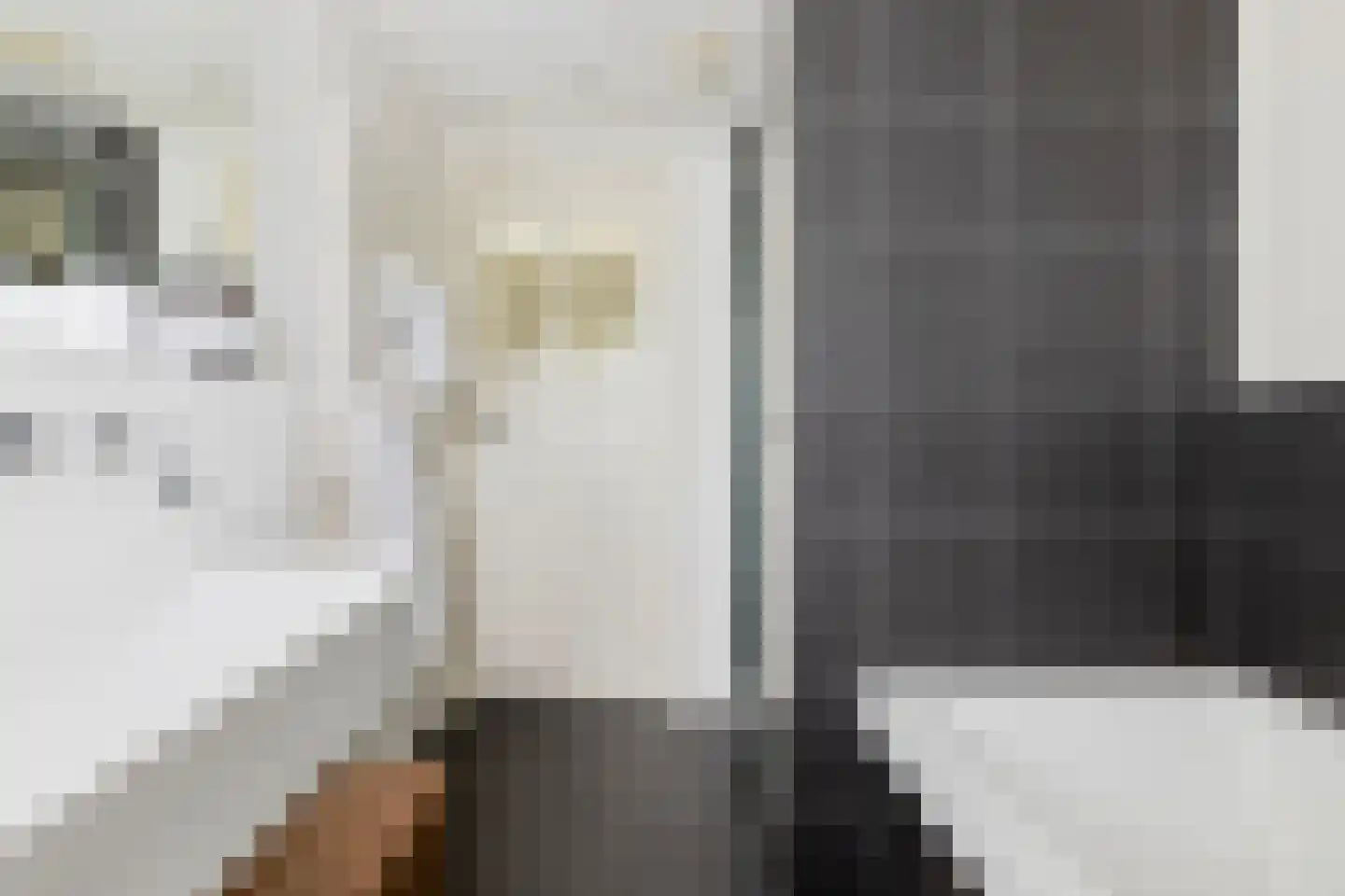 Raadhuisstraat 89 Waalre thumbnail 19