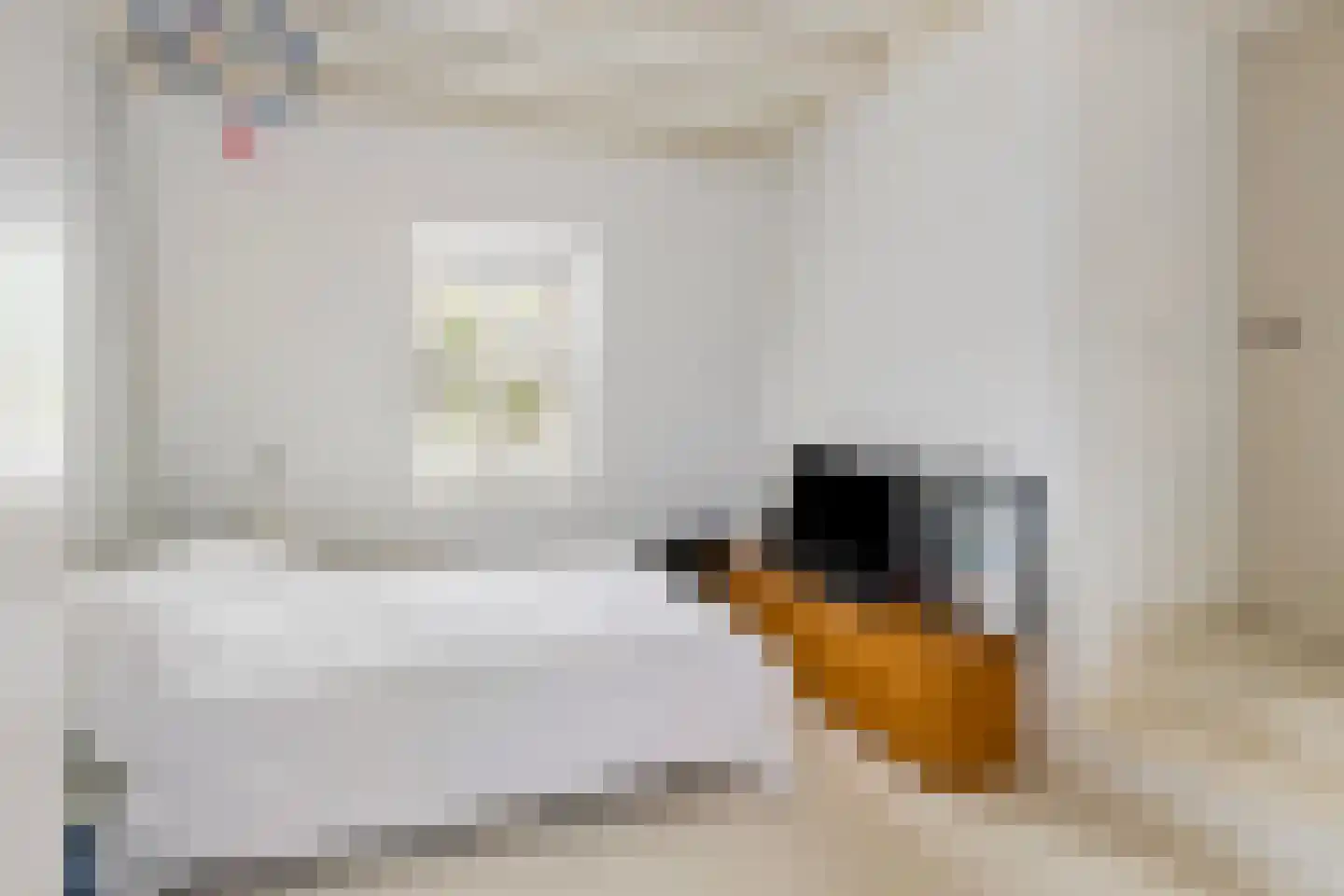 Raadhuisstraat 89 Waalre thumbnail 21