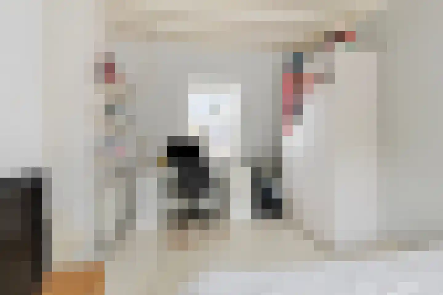 Raadhuisstraat 89 Waalre thumbnail 22