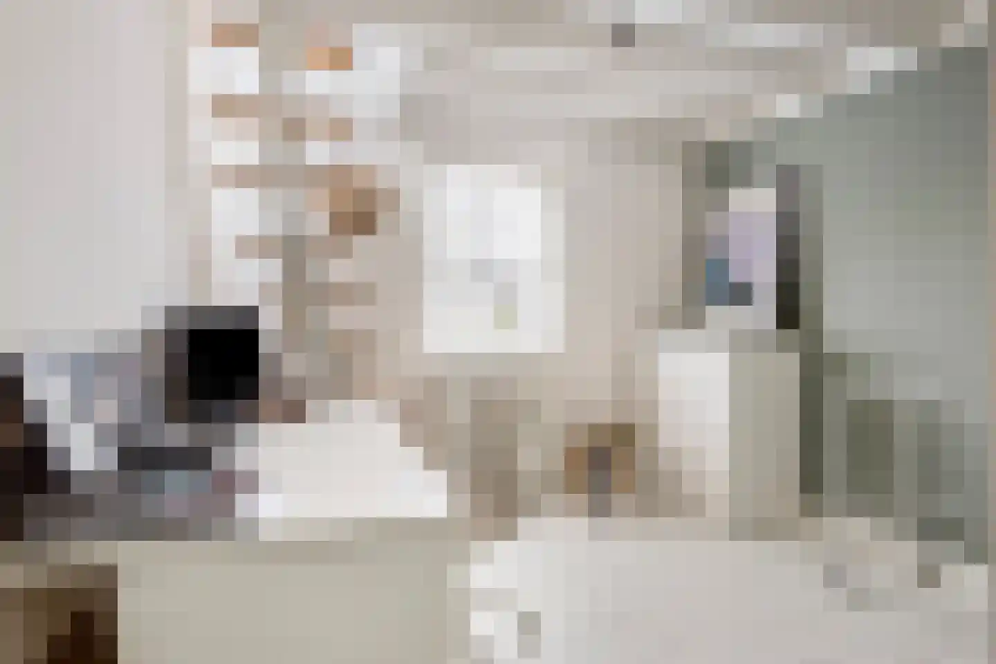 Raadhuisstraat 89 Waalre thumbnail 23