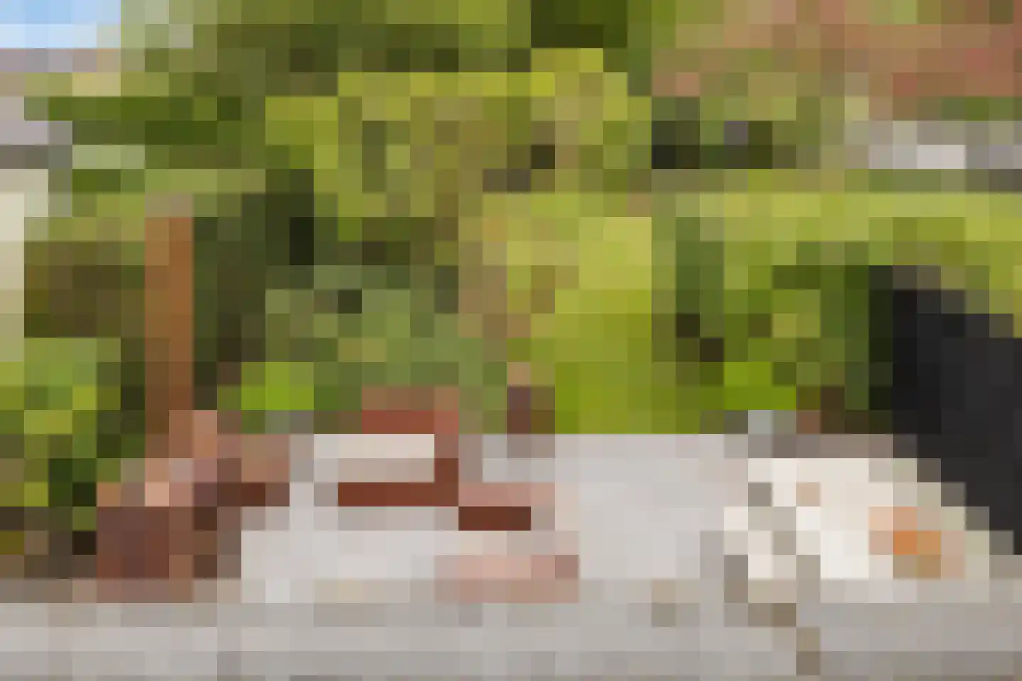 Raadhuisstraat 89 Waalre thumbnail 26