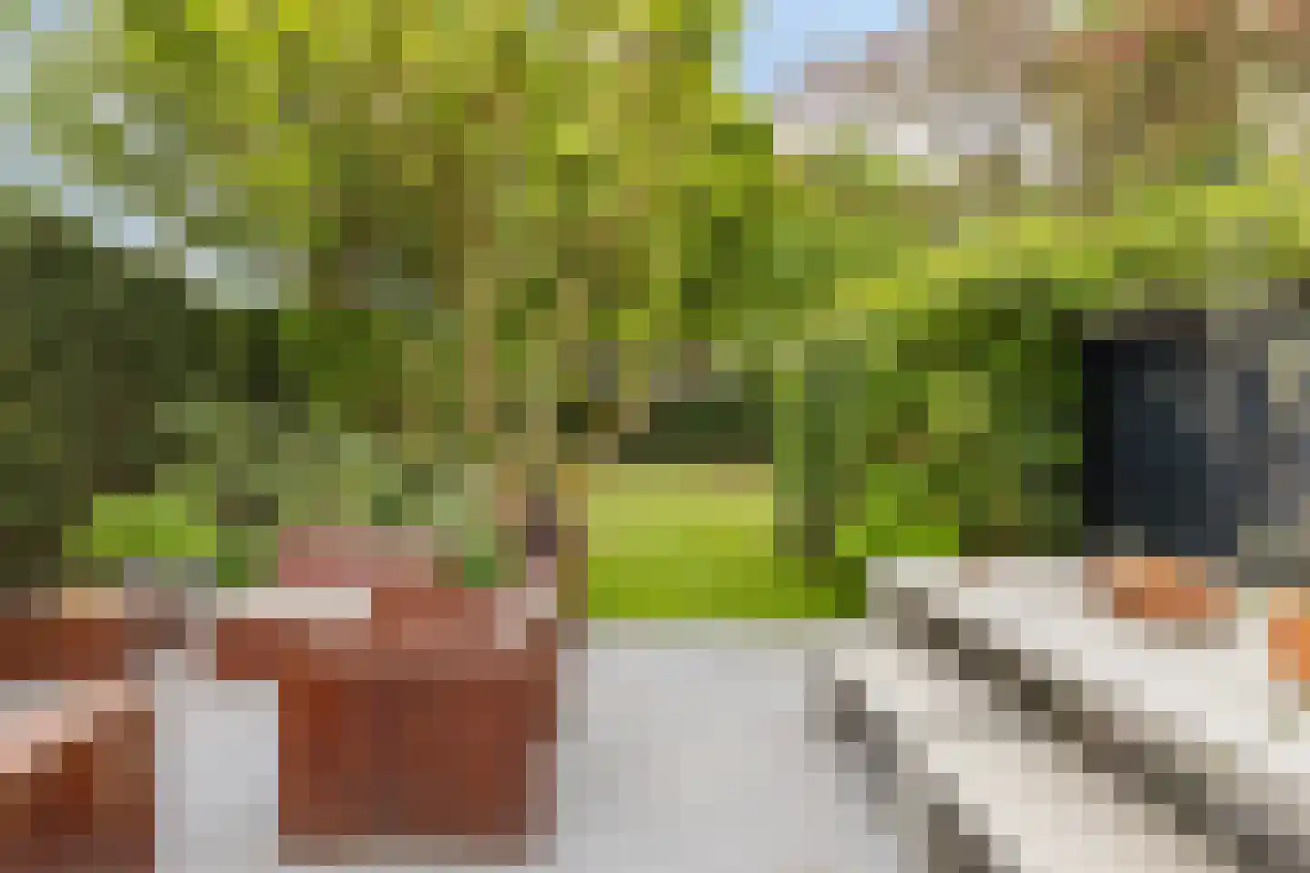 Raadhuisstraat 89 Waalre thumbnail 27