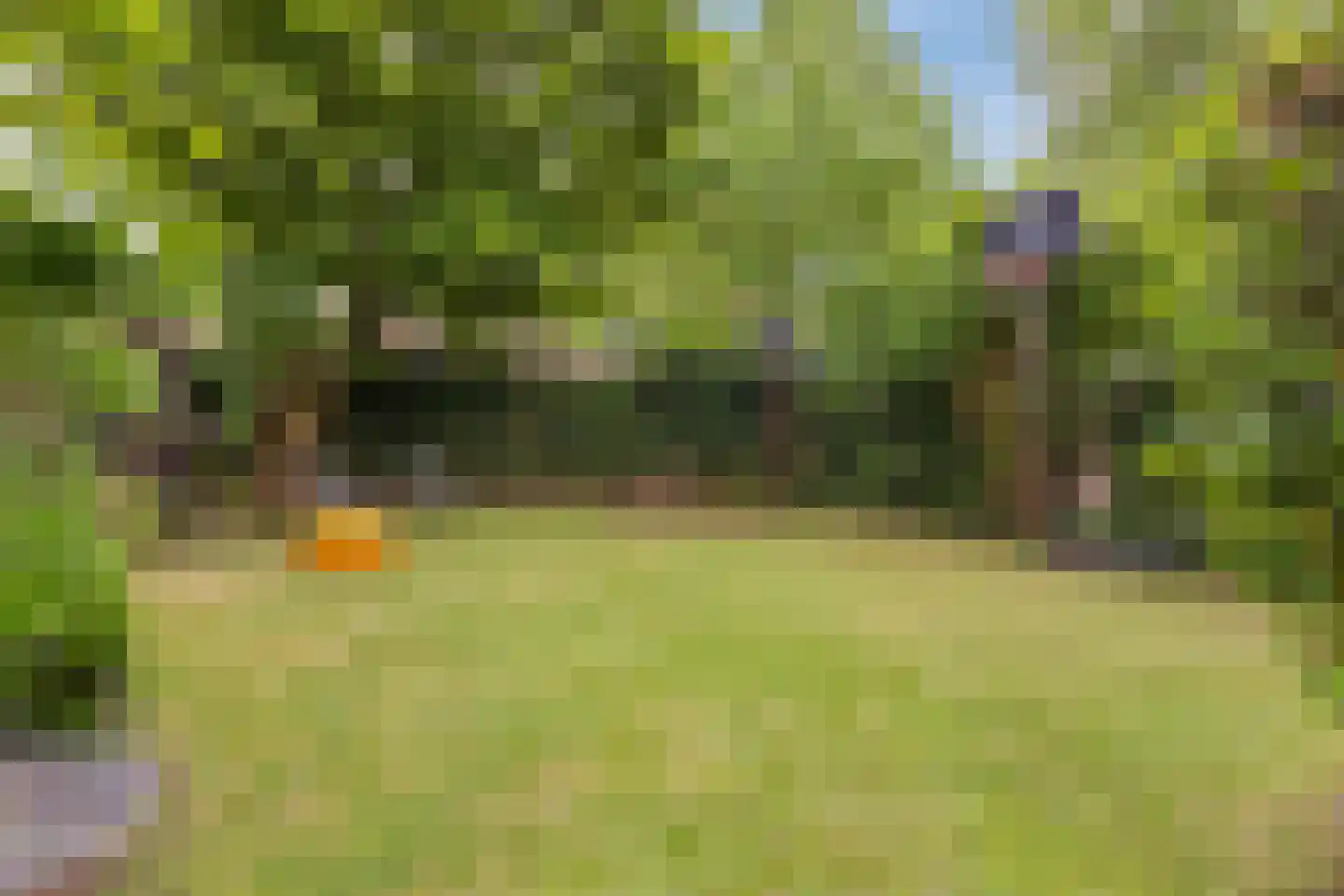 Raadhuisstraat 89 Waalre thumbnail 29