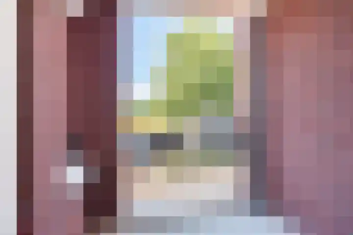Raadhuisstraat 9 A Dinxperlo thumbnail 20