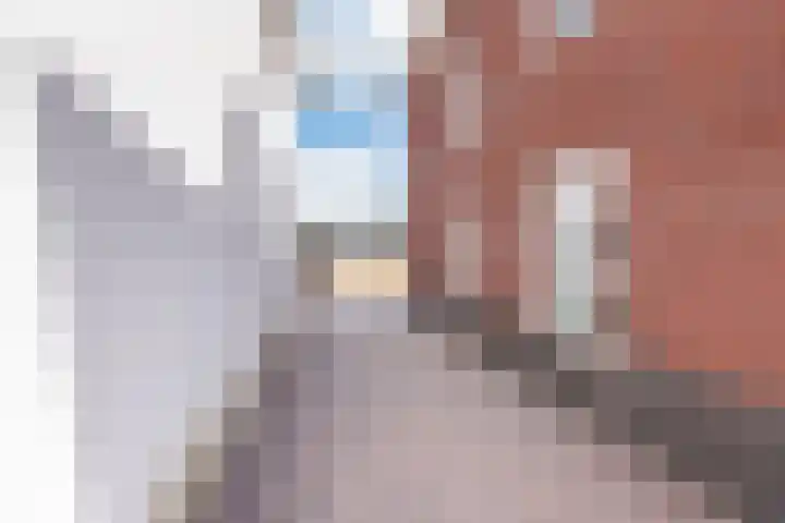 Raadhuisstraat 9 A Dinxperlo thumbnail 36