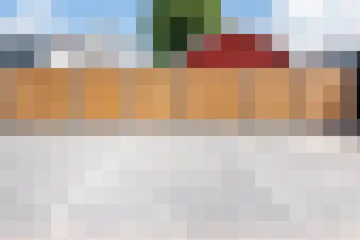 Raadhuisstraat 9 A Dinxperlo thumbnail 40