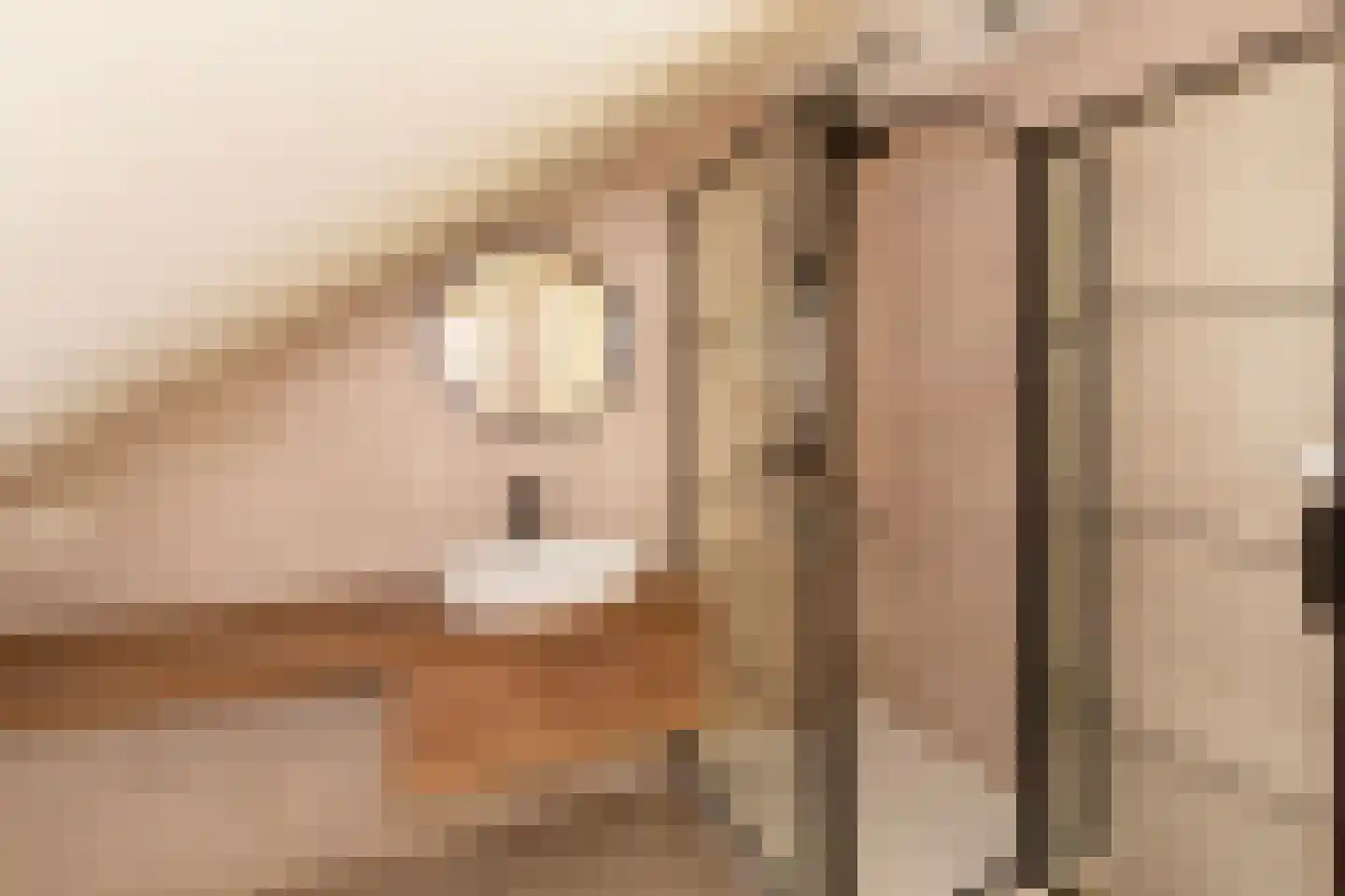 Raadhuisstraat 9 b Ouddorp thumbnail 15