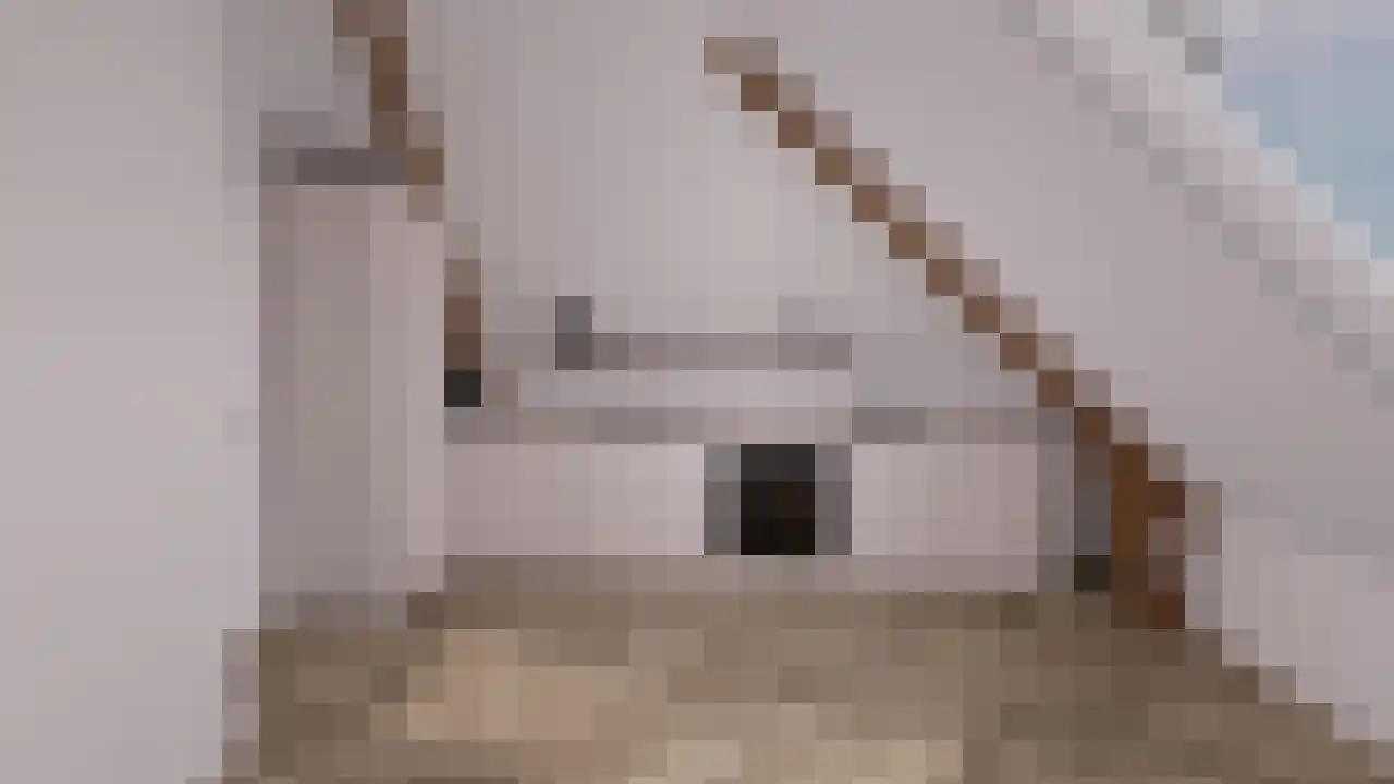 Raadhuisstraat 9 b Ouddorp thumbnail 24