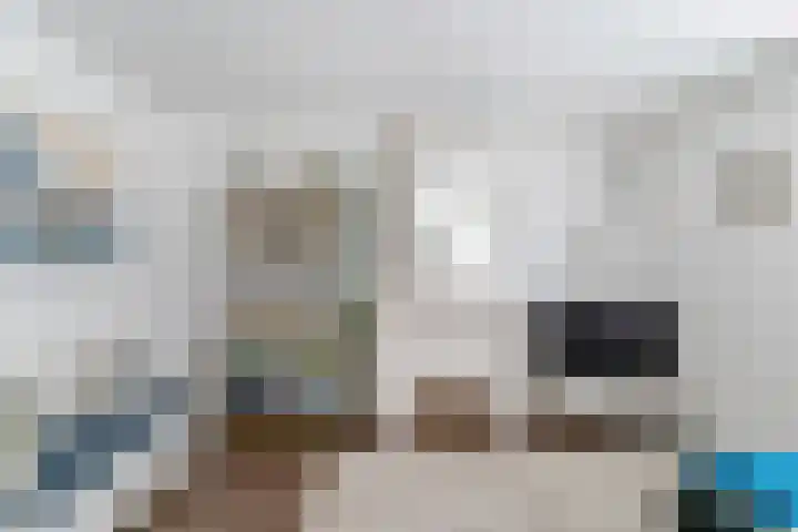 Raadhuisstraat 9 Beverwijk thumbnail 11