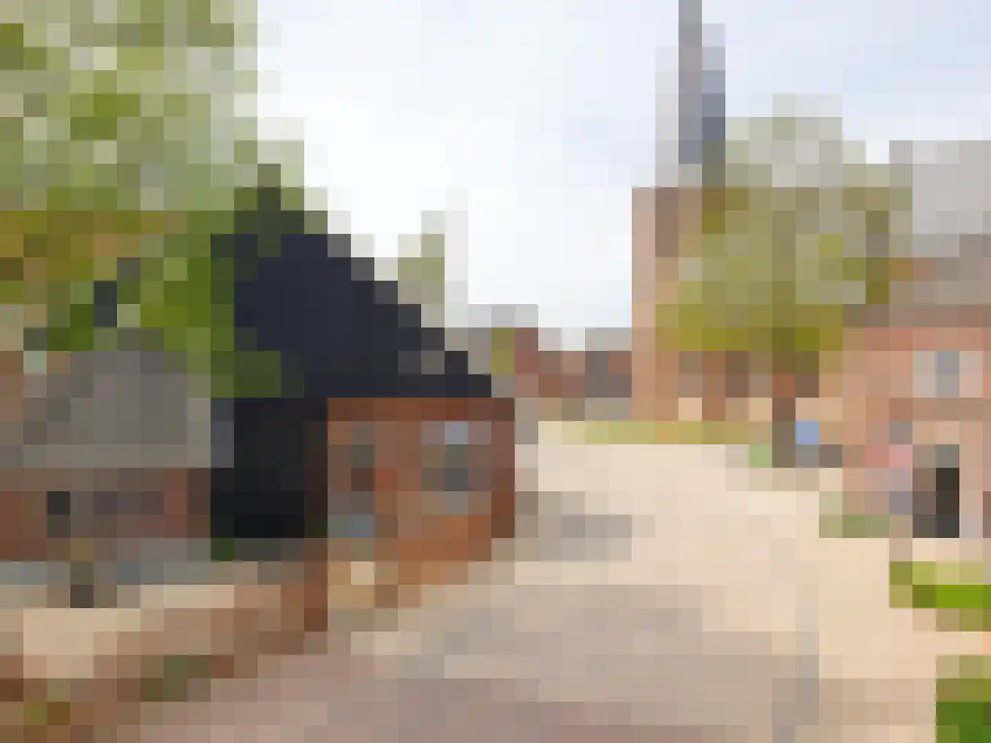 Raadhuisstraat 9 Dinxperlo thumbnail 42