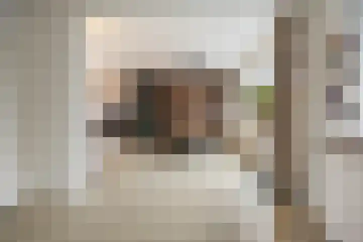 Raadhuisstraat 9 Druten thumbnail 16