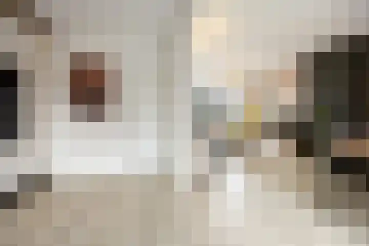 Raadhuisstraat 9 Druten thumbnail 18