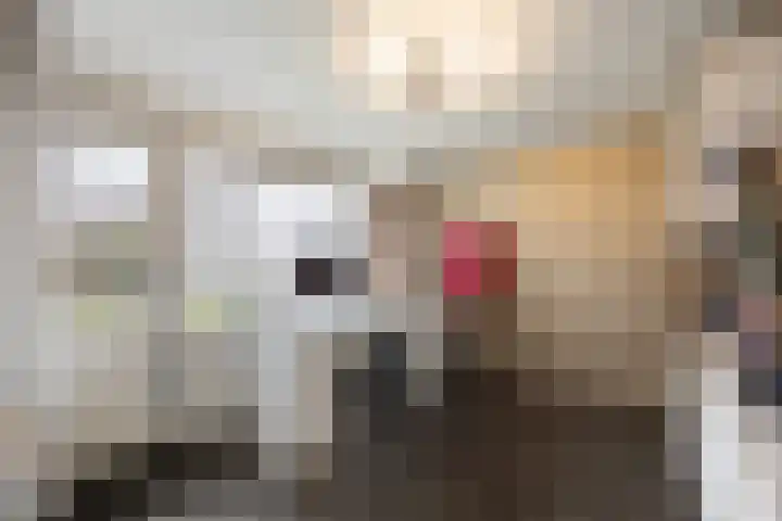 Raadhuisstraat 9 Druten thumbnail 29