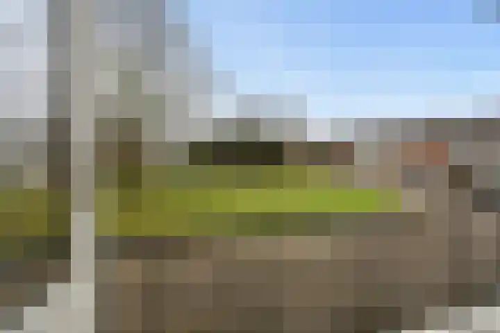 Raadhuisstraat 9 Druten thumbnail 30