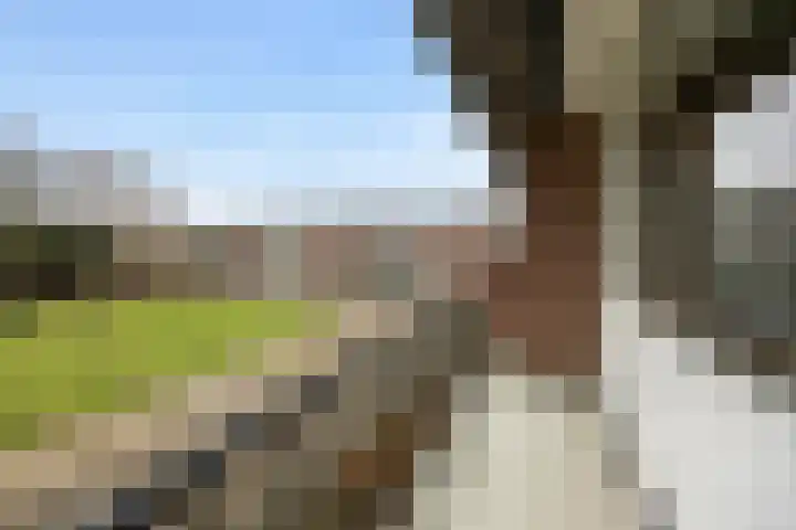 Raadhuisstraat 9 Druten thumbnail 31