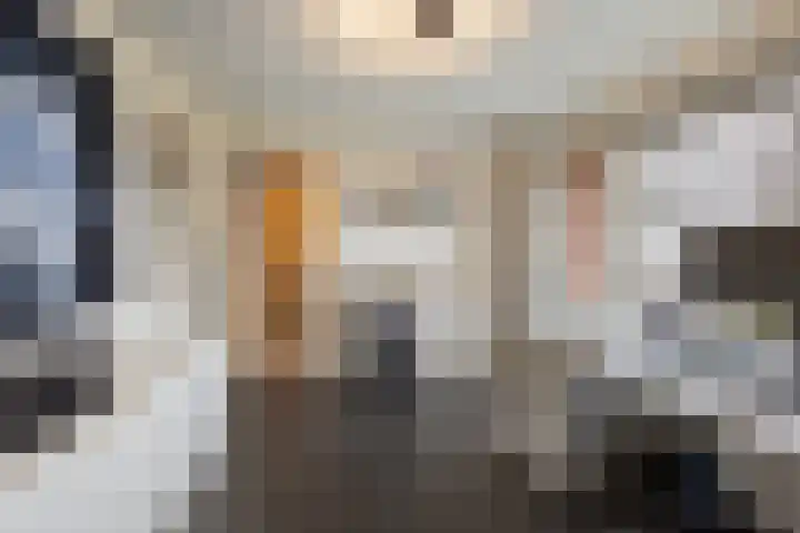 Raadhuisstraat 9 Druten thumbnail 32