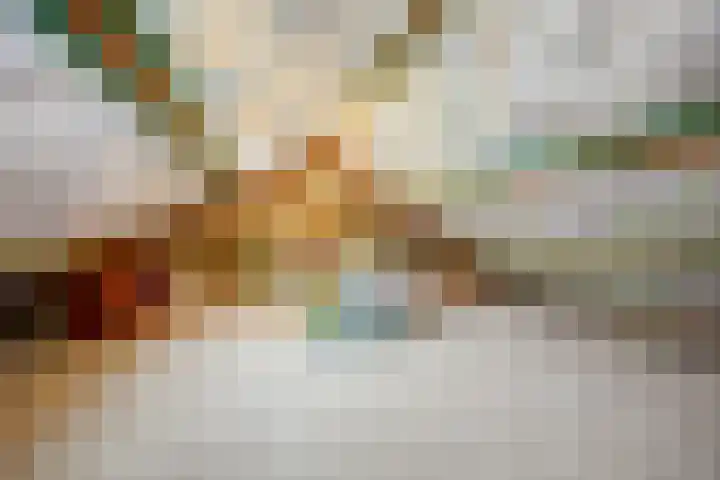 Raadhuisstraat 9 Druten thumbnail 33