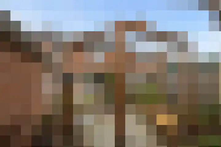 Raadhuisstraat 9 Druten thumbnail 37